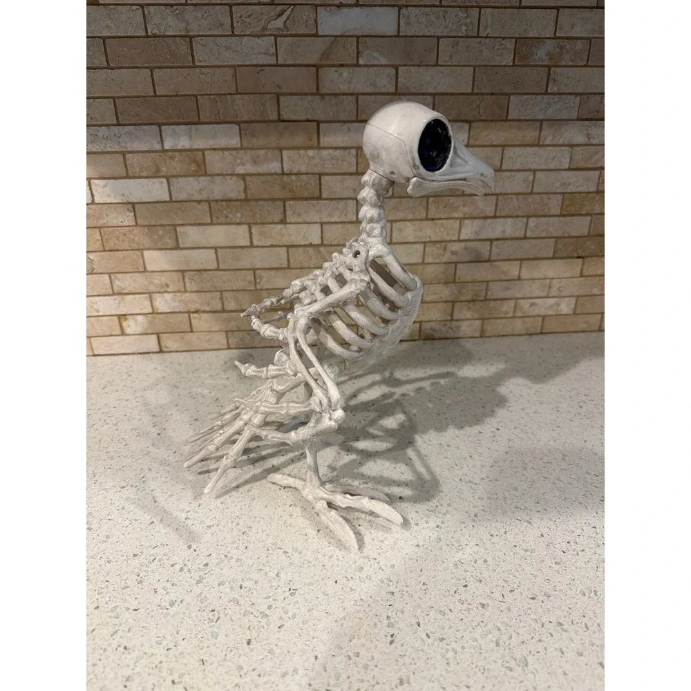 Crazy bonez skeleton bird dodo crow Halloween prop decor